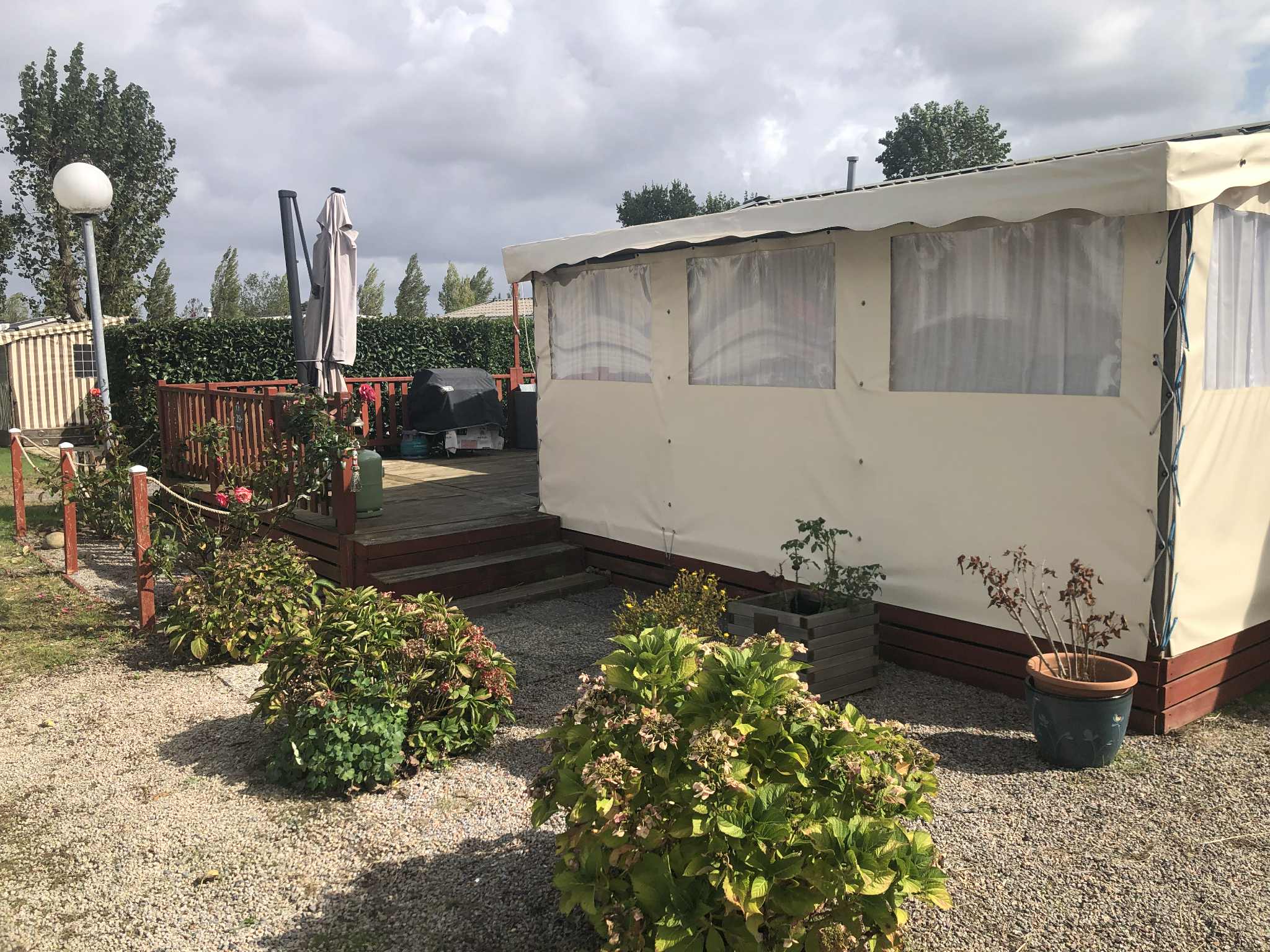 SWIFT BORDEAUX ( 29)